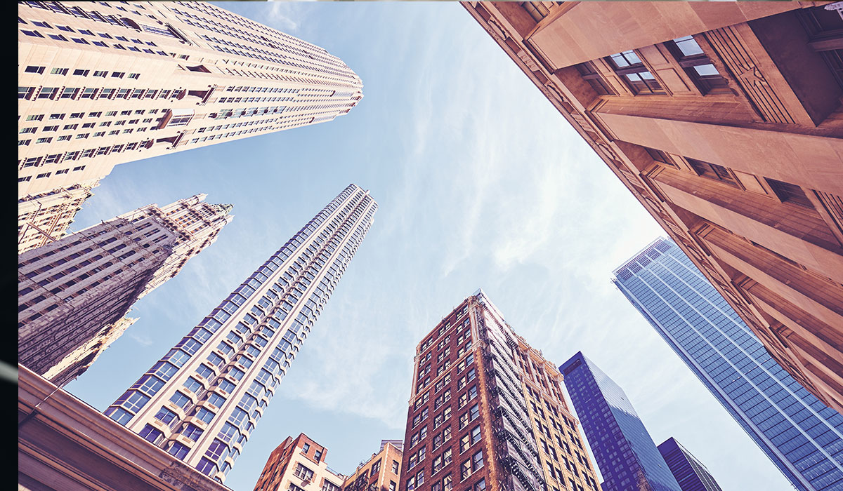 Catalyst Realty-Service Details